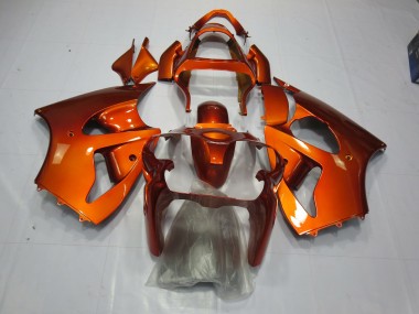 Arancia 2000-2002 ZX6R Carena Moto