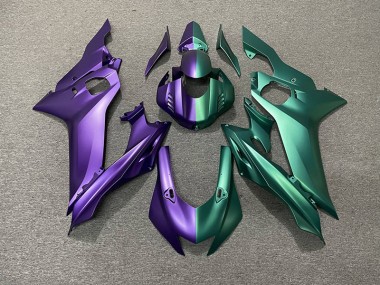 Divisione Viola & Verde 2017-2021 R6 Carena Moto