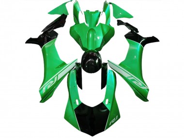 Lucertola Verde & Nera 2015-2019 R1 Carena Moto