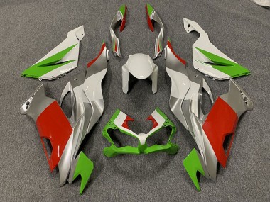 Rosso/Verde & Argento Personalizzati 2019-2023 ZX6R Carena Moto