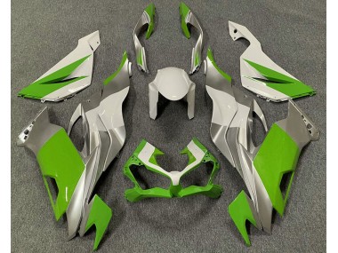 Verde Bianco & Argento 2019-2023 ZX6R Carena Moto
