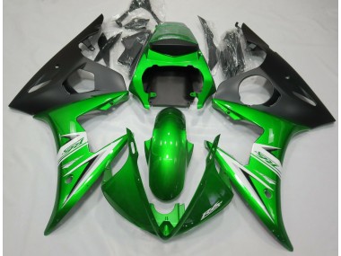 Verde Lucido & Bianco 2005 R6 Carena Moto